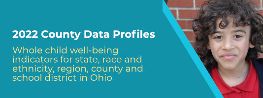 County Data Profiles